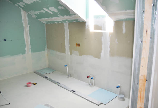 Best Mold Remediation for Rental Properties  in Caledonia, MI
