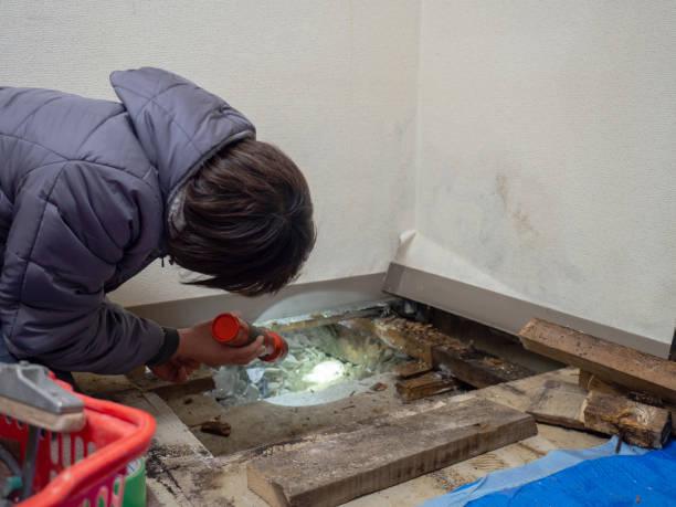 Best Attic Mold Removal  in Caledonia, MI