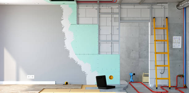 Caledonia, MI Mold Removal Company
