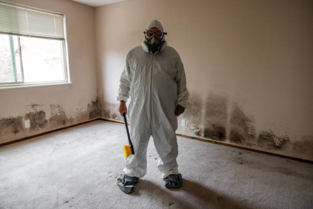 Environmental Consulting for Mold Prevention