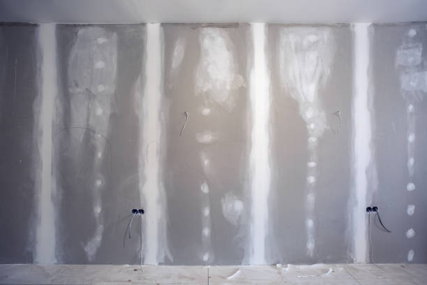 Best Mold Removal for HVAC Installations  in Caledonia, MI